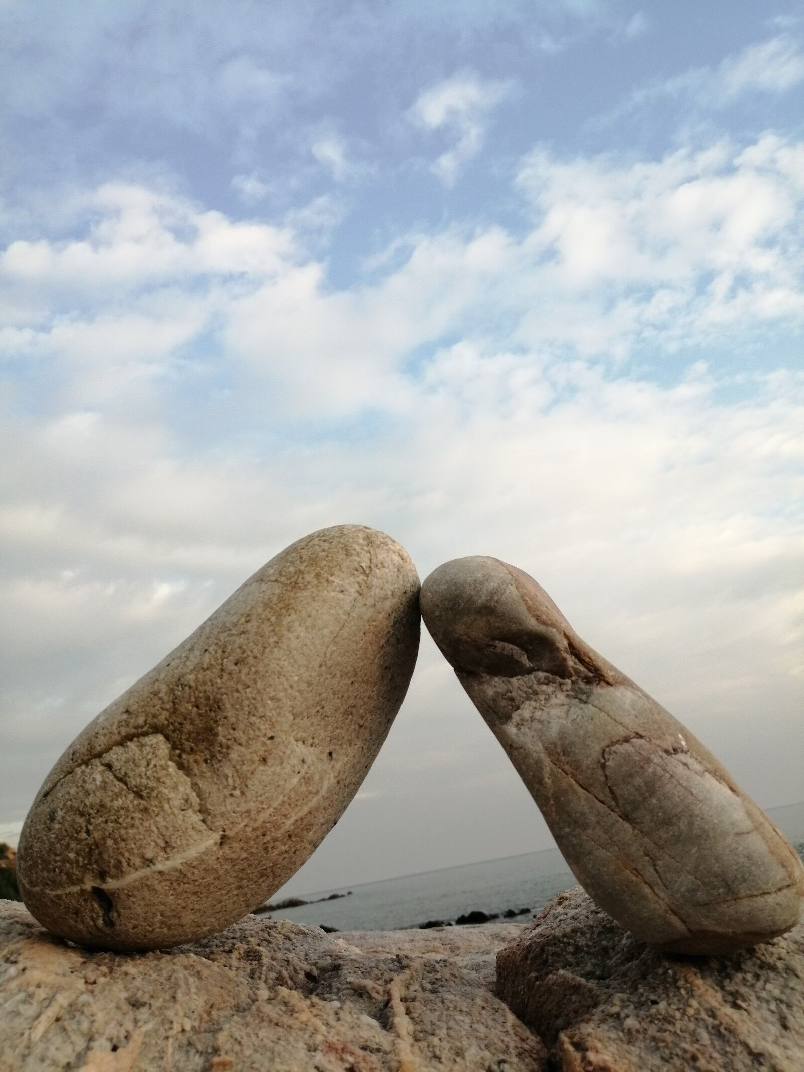 公司组织穿越海岸线